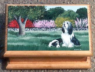 Small Jewellery Box - Bearded Collie