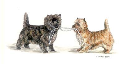 Cairn Terrier Pearls