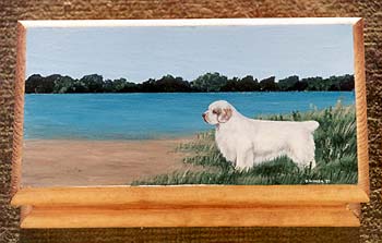 Small Jewellery Box - Clumber Spaniel