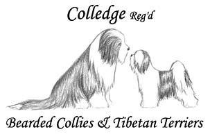 Colledge Kennels Logo