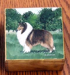 Rough Collie Square Box