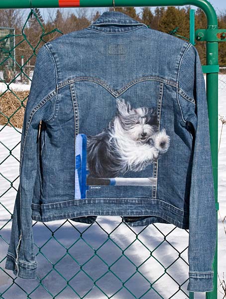 painted denim jacket