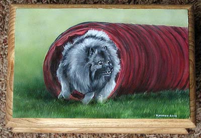 Small Jewellery Box - Keeshond agility