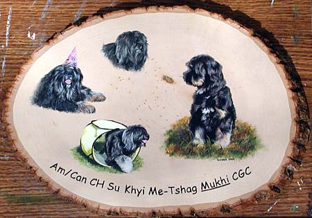 Tibetan Terrier Wood Slice