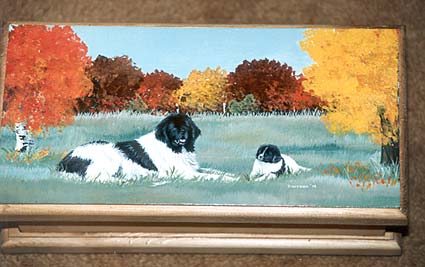 Medium Jewellery Box - Landseer Newfoundland