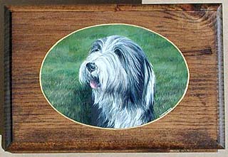 Small Jewellery Box - Bearded Collie Portrait