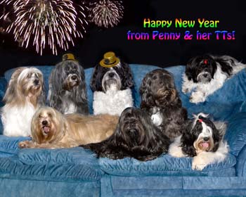 Tibetan Terrier New Year's Collage