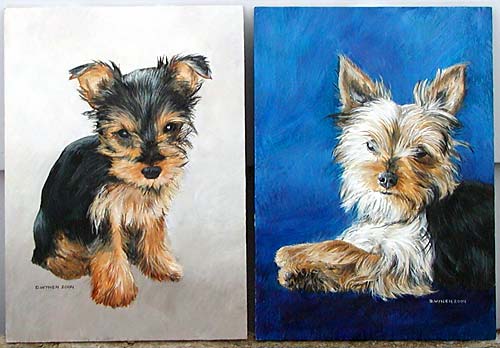 Yorkshire Terrier Commission