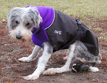 Caitlin in her coat