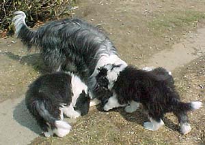 Yancey and her kids