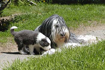 Danni and her pup