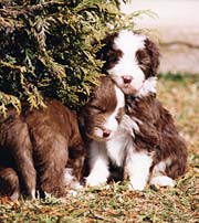 Olivia and her sister