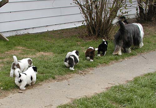 Yancey and her kids